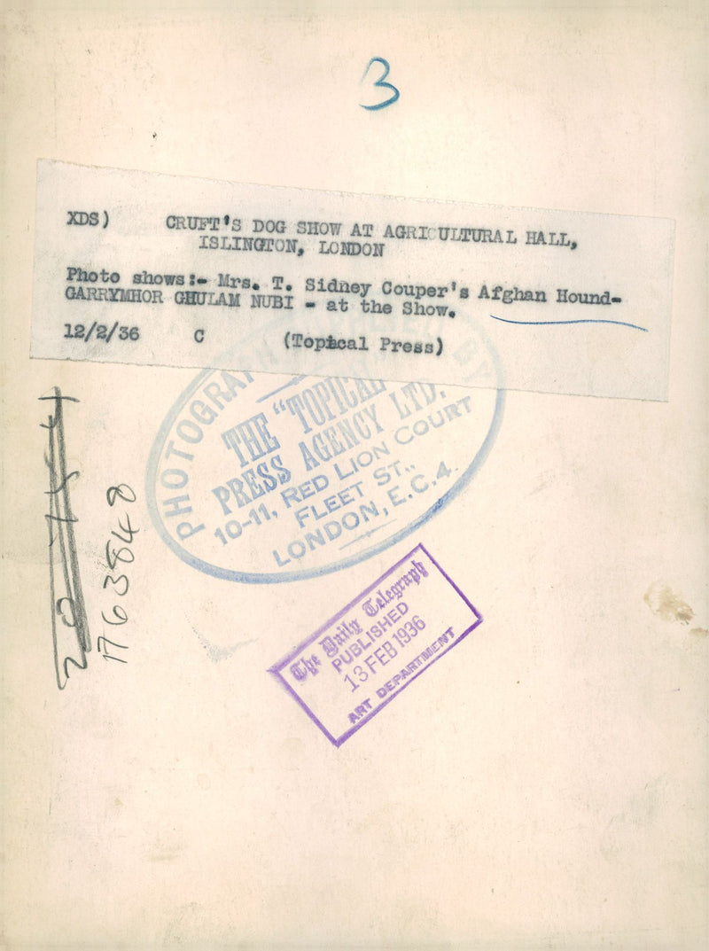 Afghan Hand's,Cruft's Dog Show. - Vintage Photograph