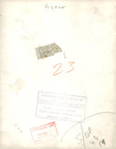 Afghan Hand's,Cruft's Dog Show. - Vintage Photograph