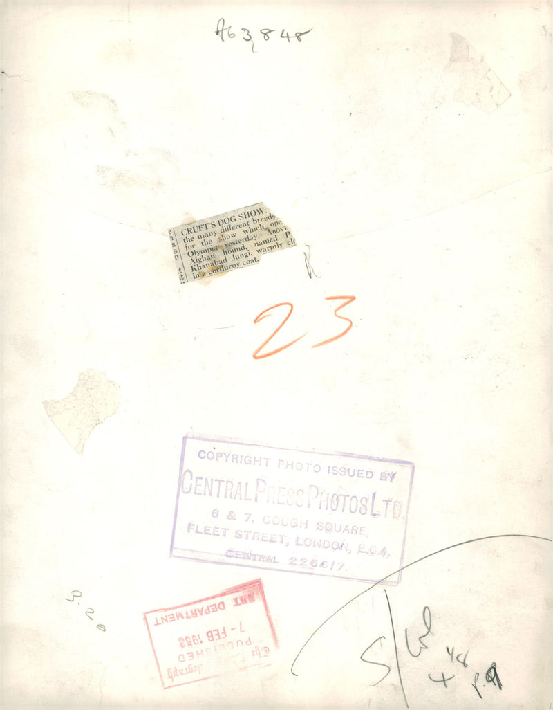 Afghan Hand's,Cruft's Dog Show. - Vintage Photograph