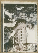 Alan Dukes. - Vintage Photograph