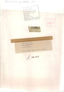 Watson Lillian. - Vintage Photograph