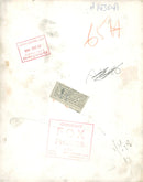 Animal: Mandrill - Vintage Photograph