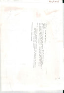 Animal: Macaque - Vintage Photograph