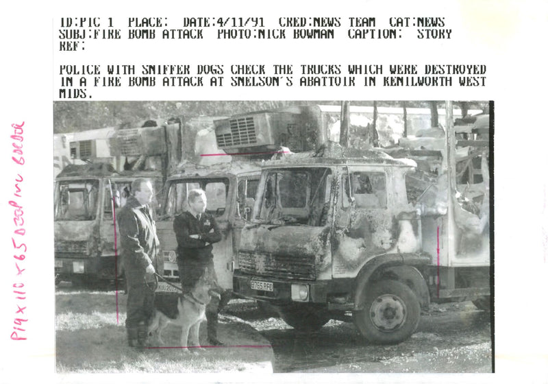 Animal Liberation Front,Police Officers With Sniffer Dogs Examine. - Vintage Photograph