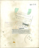 Merle Oberon and her children. - Vintage Photograph