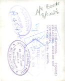 Iris Murdoch - Vintage Photograph