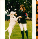 fashion model april cheesley. - Vintage Photograph