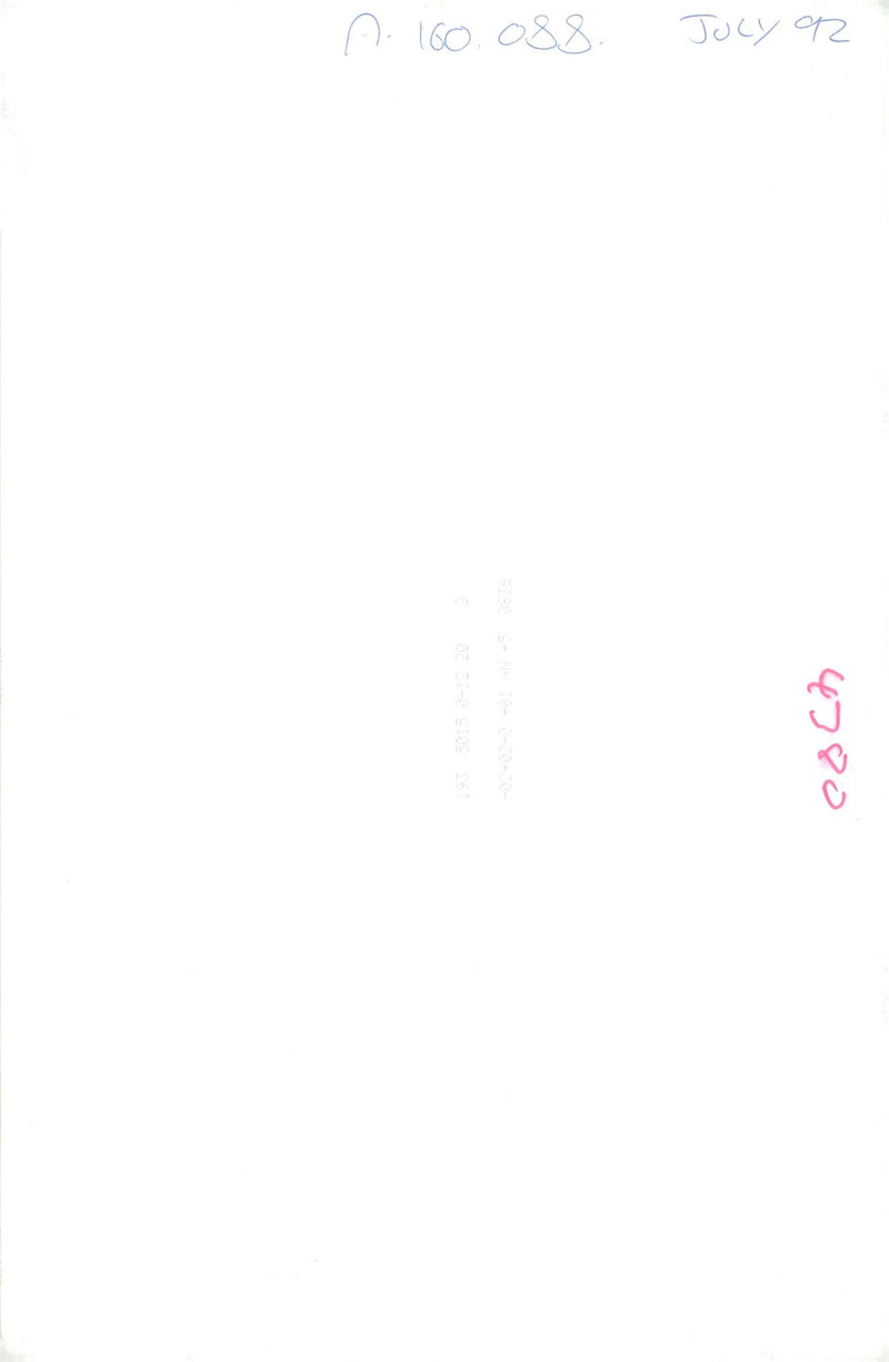 fashion model. - Vintage Photograph