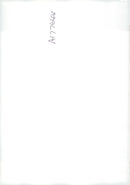 Everest expedition. - Vintage Photograph