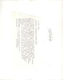 transkei army. - Vintage Photograph