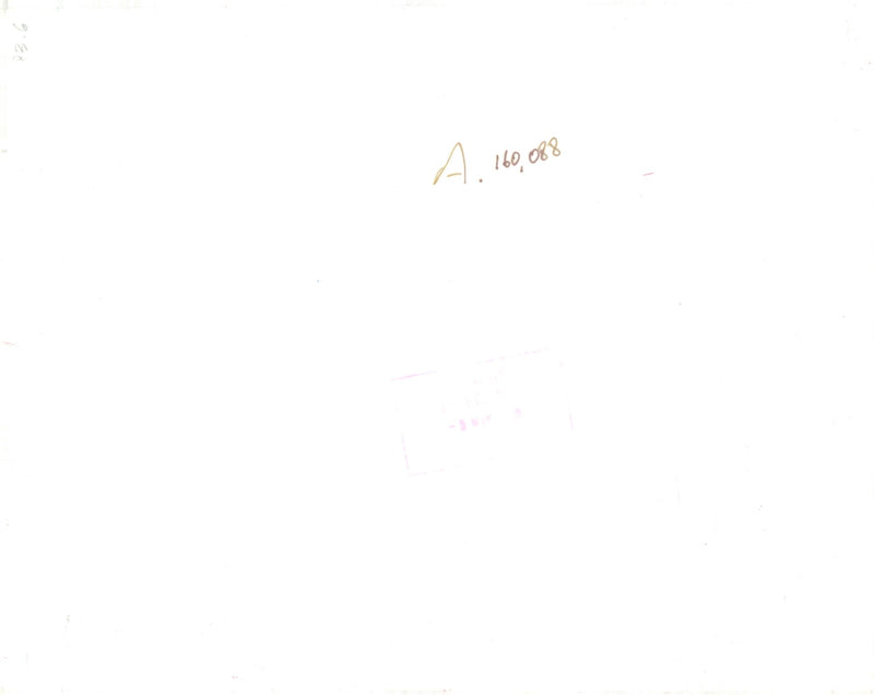 Fashion  model. - Vintage Photograph