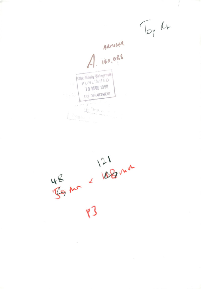 fashion model. - Vintage Photograph