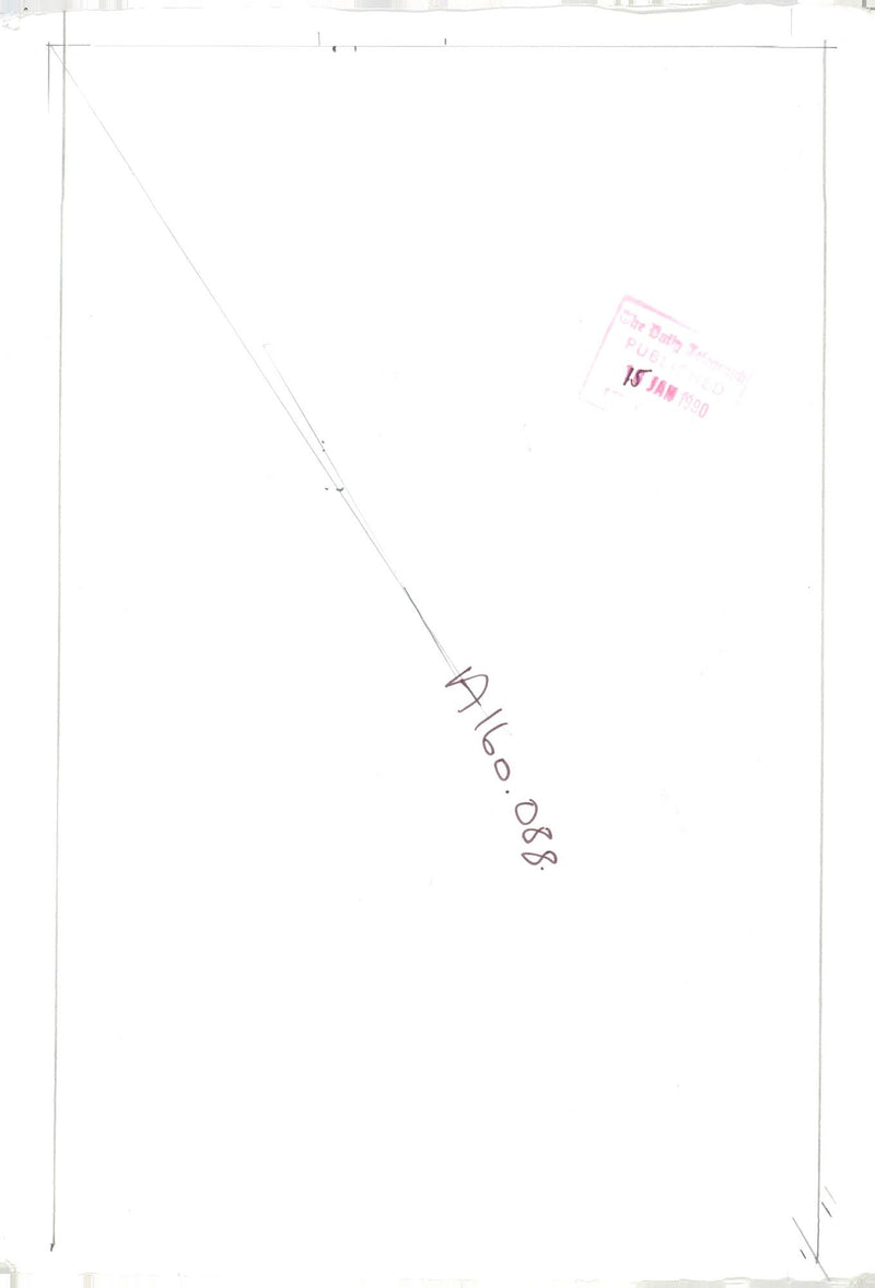 fashion model. - Vintage Photograph