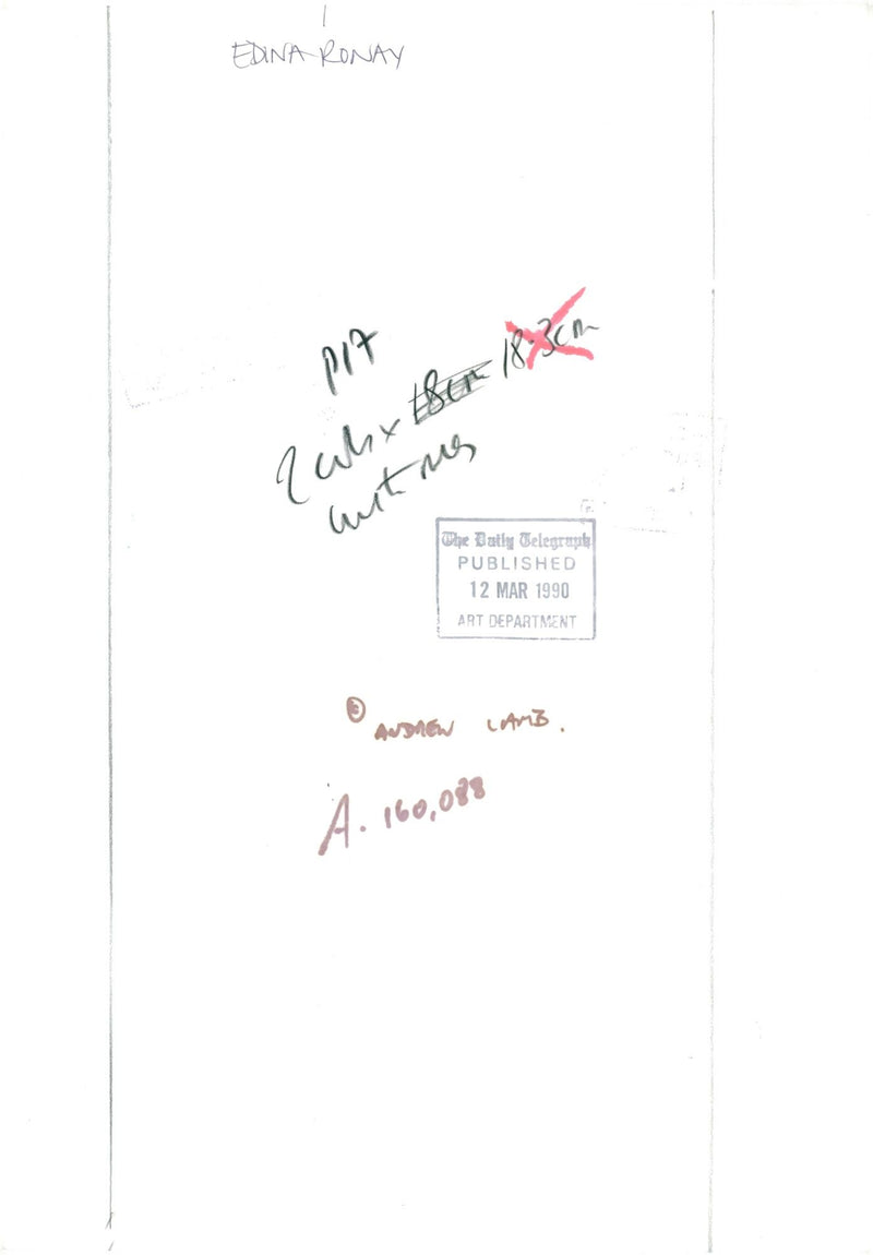 fashion model edina ronay. - Vintage Photograph