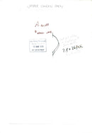 fashion model. - Vintage Photograph