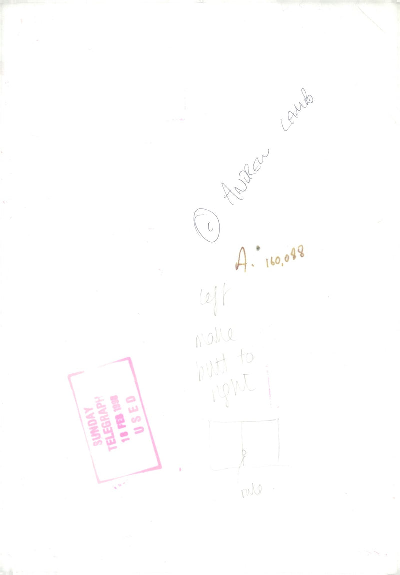 fashion model. - Vintage Photograph