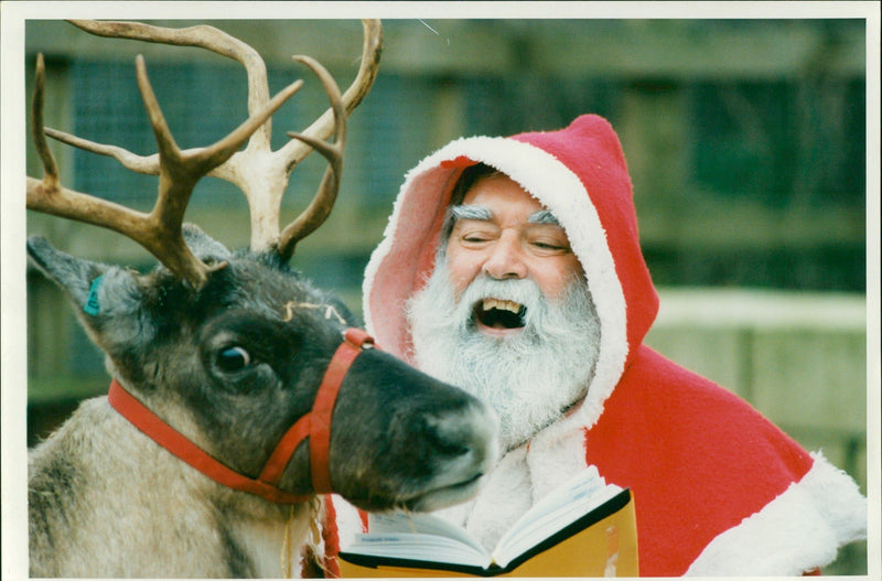Marwell Zoo, santa meets reindeer. - Vintage Photograph