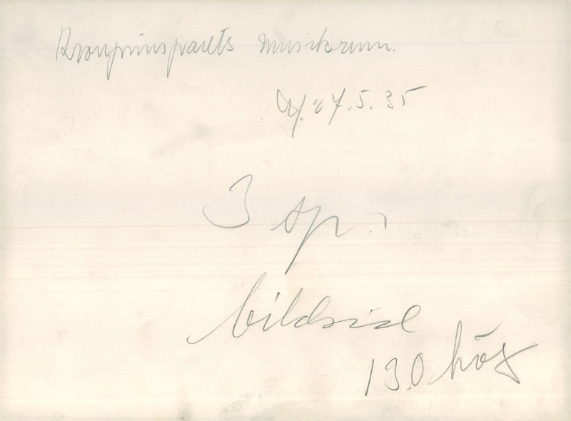 Crown Prince Frederik of Denmark and Princess Ingrid of Sweden's Music Room filled with flowers after their wedding in Stockholm - Vintage Photograph