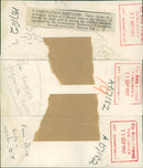 Elizabeth II sculpture souvenir. - Vintage Photograph