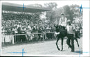 A large crowd is in evidence as Alex Greaves and There's Magic are led towards the winner's enclosure. - Vintage Photograph