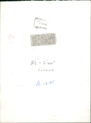 Ts elliot by Wyndham Lewis Writer. - Vintage Photograph