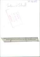 Sacheverell sitwell Wyndham Lewis Writer. - Vintage Photograph