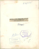 Animal: Opossum. - Vintage Photograph