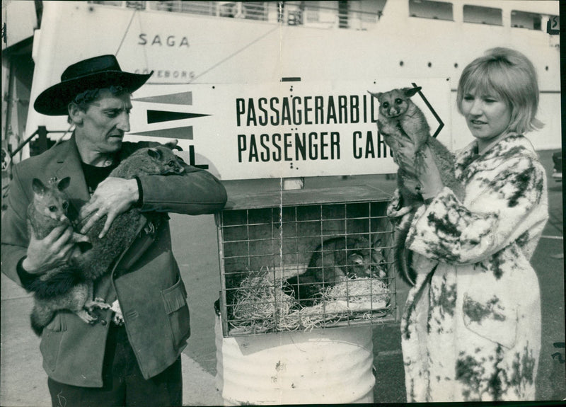 Animal: Opossum: Mr. J. Kavanaugh and his daughter, Gail. - Vintage Photograph