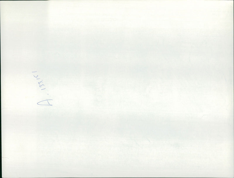 A broad, tree lined avenue starts. - Vintage Photograph