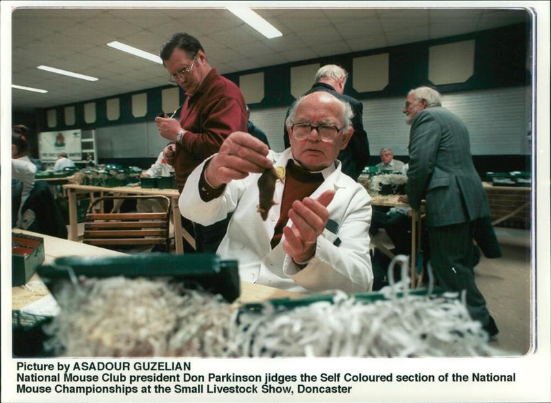 Animal:Mouse president don parkinson. - Vintage Photograph