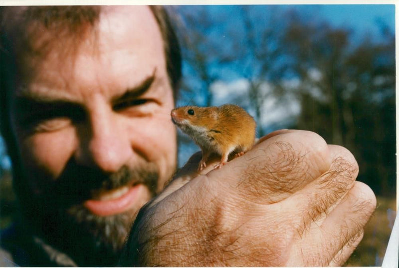 Animal:Mouse a scientist at the natural museum. - Vintage Photograph