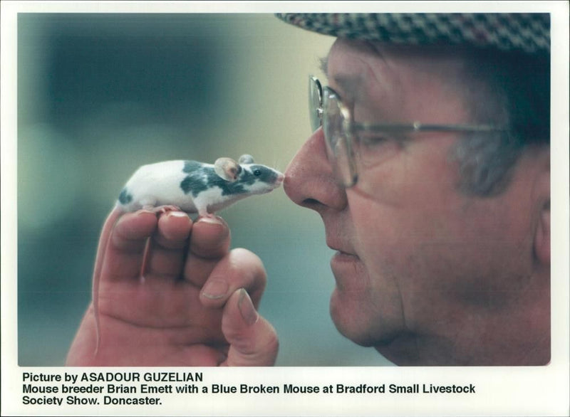 Animal:Mouse brian emmet with a blue broken mouse - Vintage Photograph