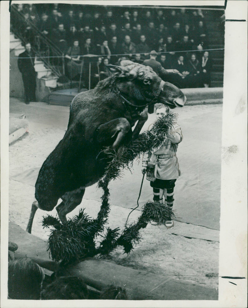 A Russian circus act. - Vintage Photograph