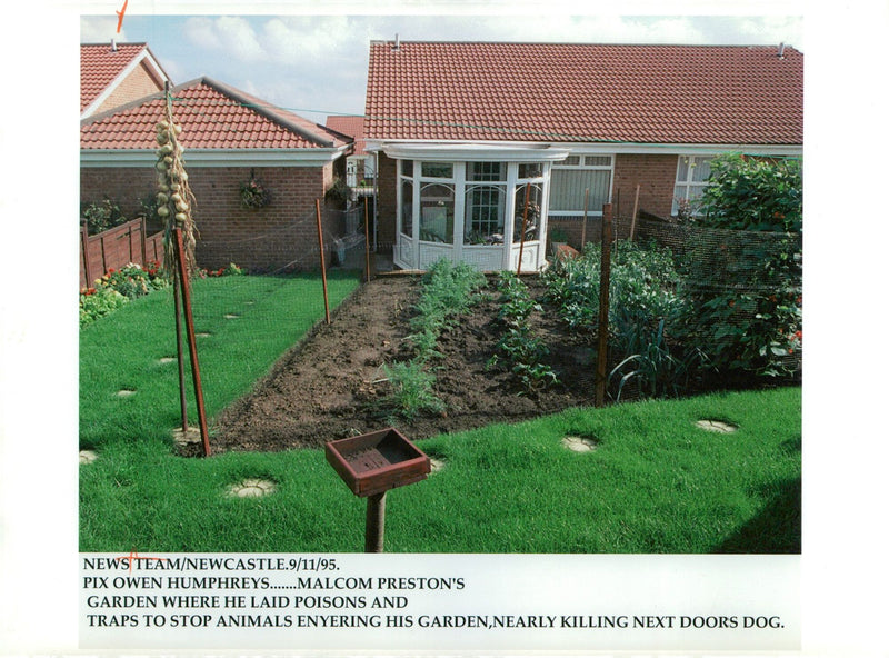 Malcolm prestons garden where he laid poisons and traps to stop animals enyering his Garden. - Vintage Photograph