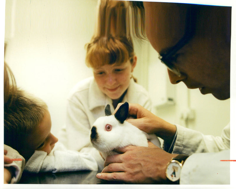 Dr David Williams examines a pet at Beaumont Sainsbury Animal Hospital - Vintage Photograph