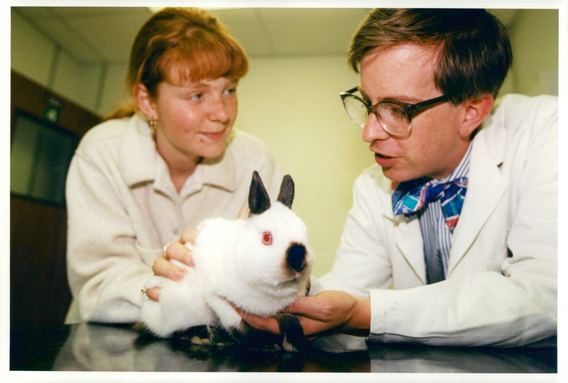 Rabbit called Bunnyfluff at Beaumont Sainsbury Animal Hospital - Vintage Photograph