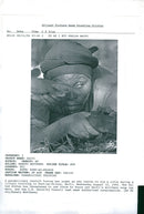 Haiti: Army. - Vintage Photograph