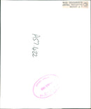 Flamingo Bird: - Vintage Photograph