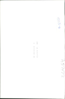 Flamingo Bird: - Vintage Photograph