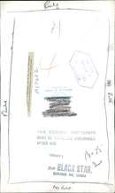 Flamingo Bird:A flamingo one of the many flamingo. - Vintage Photograph