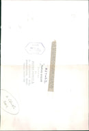 Flamingo Bird:In the path of a hovercraft. - Vintage Photograph