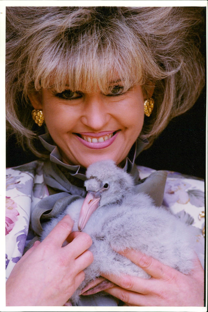 Mrs geraldine. - Vintage Photograph