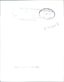 Rugby Player Lewis Peter - Vintage Photograph