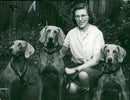 Dogs: Weimaraners: Mrs. Diana Oldershaw. - Vintage Photograph