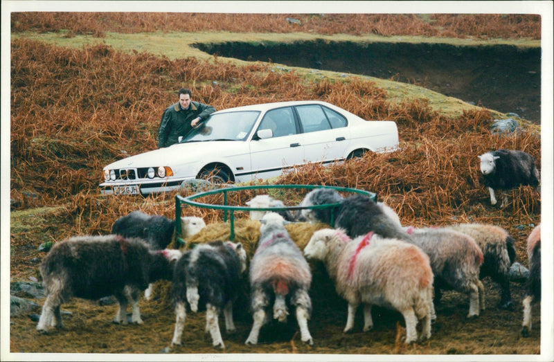 Charles Clover Film writer. - Vintage Photograph