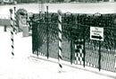 1980 ANIMAL FARJ DADLADE LOCK DAGBLADET FENCE ENS - Vintage Photograph