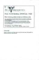 RESPONSIBLE FULLY THEI POLE SWEDEN EXPEDITION OCEAN - Vintage Photograph