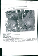 Rwanda War: Rwandan Refugees. - Vintage Photograph