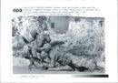 Rwanda war:zairan and rwandan soldiers. - Vintage Photograph
