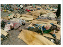 rwanda war.an ill rwandan hutu lies among the dead.. - Vintage Photograph